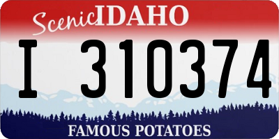 ID license plate I310374