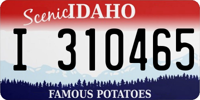 ID license plate I310465