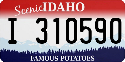 ID license plate I310590