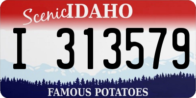 ID license plate I313579