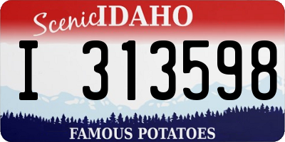 ID license plate I313598