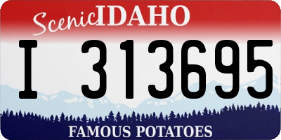 ID license plate I313695