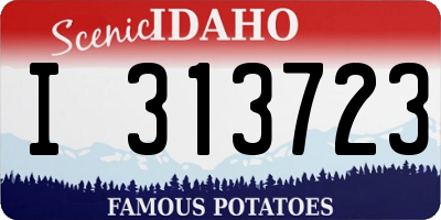 ID license plate I313723