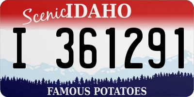ID license plate I361291