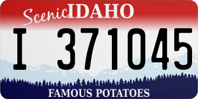 ID license plate I371045