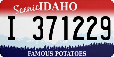 ID license plate I371229
