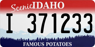ID license plate I371233