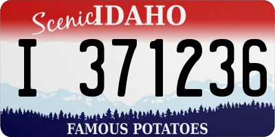 ID license plate I371236