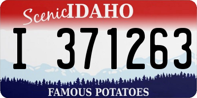 ID license plate I371263