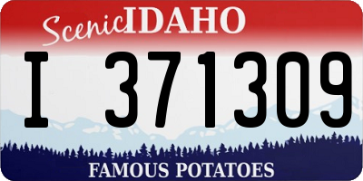 ID license plate I371309