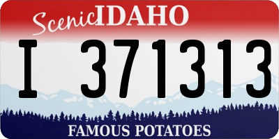 ID license plate I371313