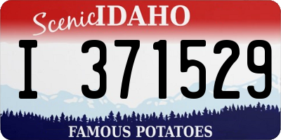 ID license plate I371529