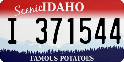 ID license plate I371544