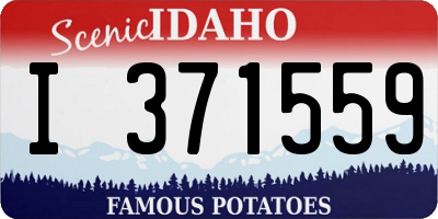ID license plate I371559