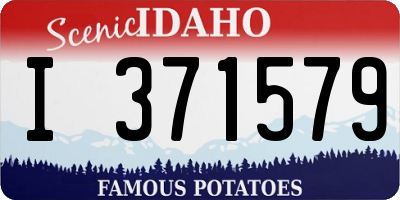 ID license plate I371579