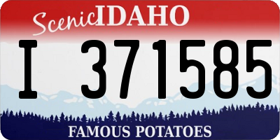 ID license plate I371585