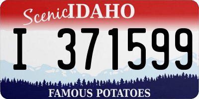 ID license plate I371599