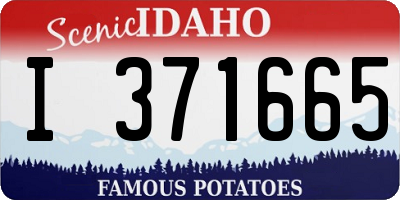 ID license plate I371665