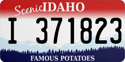 ID license plate I371823