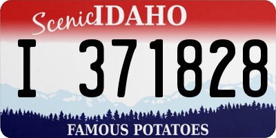 ID license plate I371828