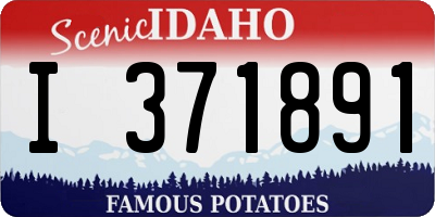 ID license plate I371891