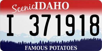 ID license plate I371918