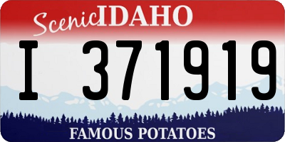 ID license plate I371919