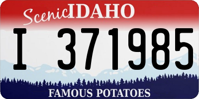 ID license plate I371985