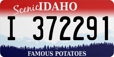 ID license plate I372291