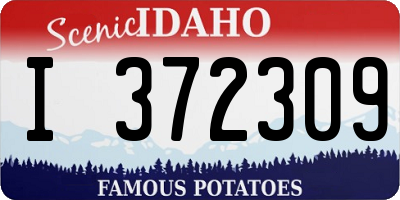 ID license plate I372309