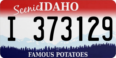 ID license plate I373129