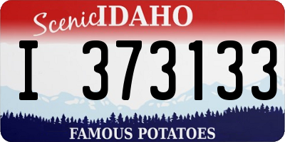 ID license plate I373133