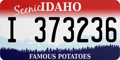 ID license plate I373236