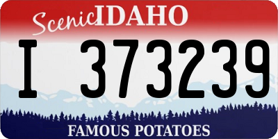 ID license plate I373239
