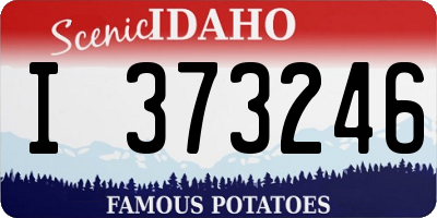 ID license plate I373246
