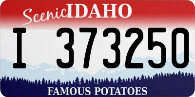 ID license plate I373250