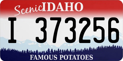 ID license plate I373256