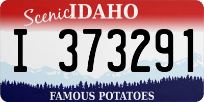 ID license plate I373291