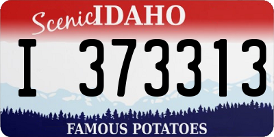 ID license plate I373313