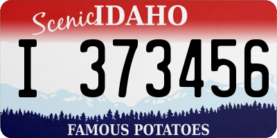 ID license plate I373456