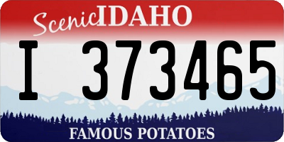 ID license plate I373465