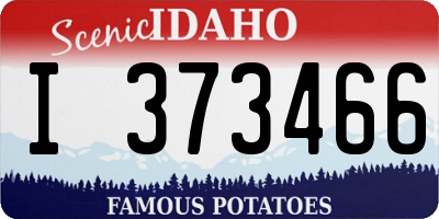 ID license plate I373466