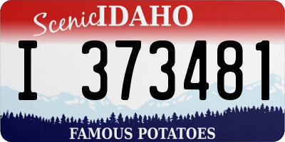 ID license plate I373481
