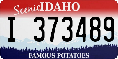ID license plate I373489