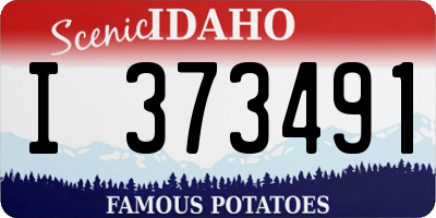 ID license plate I373491