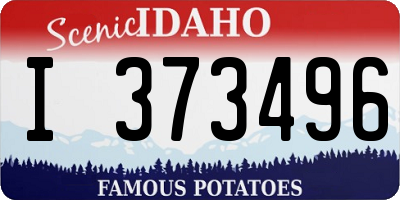 ID license plate I373496