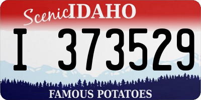 ID license plate I373529