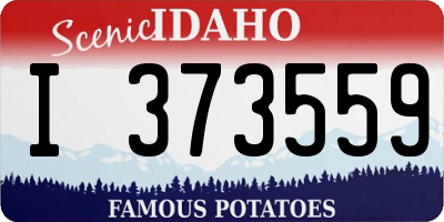 ID license plate I373559