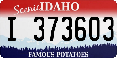 ID license plate I373603