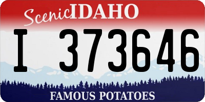ID license plate I373646